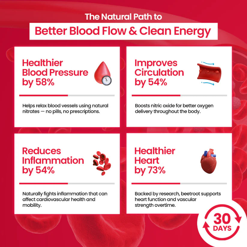 Natural Beet Root Powder — Boost Energy Support Blood Flow 