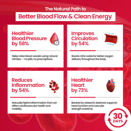 Natural Beet Root Powder — Boost Energy Support Blood Flow 